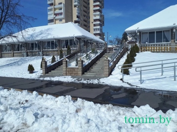 В Бресте расцвела форзиция… на снегу