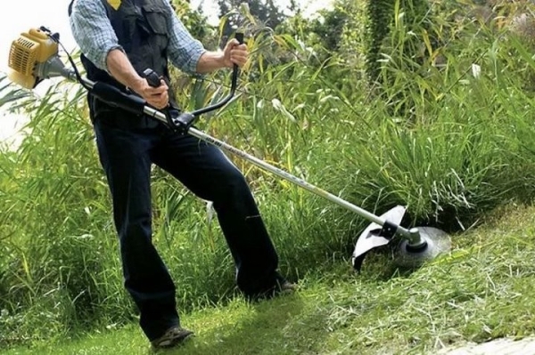 Житель Бреста: Покосил за деньги траву соседке по даче. Надо ли платить с этого налог?