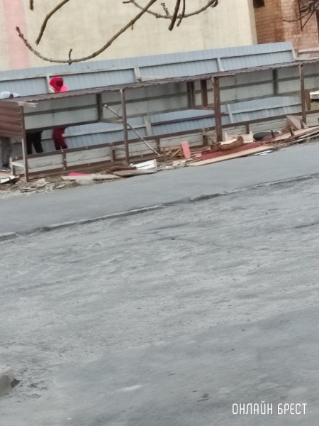 
                Читатель: В Бресте на Я.Купалы дерево упало в сторону дома. Вот ещё сегодняшние последствия сильного ветра
            