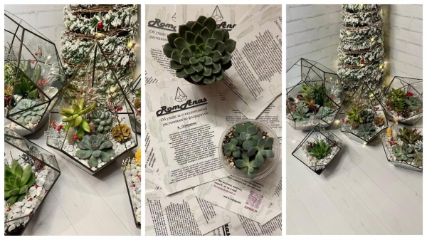 «Каждую неделю дарил жене кактусы, а потом — запустил бизнес». Посмотрите, какие флорариумы делает этот белорус