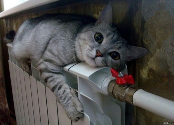 Отопление начали отключать в Беларуси