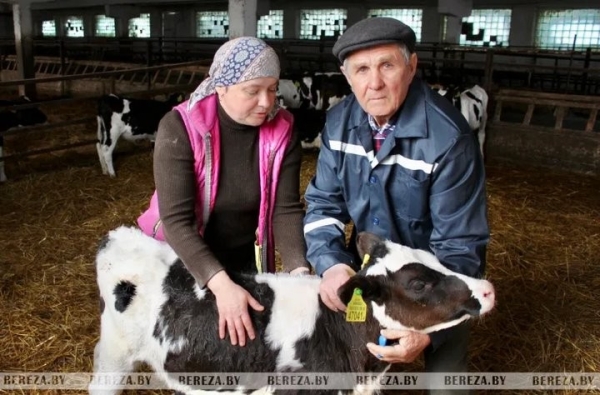 «Лечить – так лечить!» Как житель Брестской области связал свою судьбу с ветеринарией