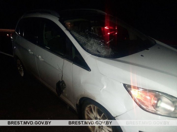 Житель Березы сбил пешехода в Столинском районе