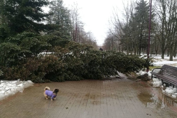 Дело об упавшей на машину с крыши дома бетонной балке. Владелица выиграла суд спустя год