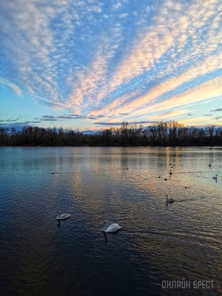 Читатель: Красивое окончание праздничного дня, 8 марта. Брест, Набережная
Читатель: Красивое окончание праздничного дня, 8 марта. Брест, Набережная