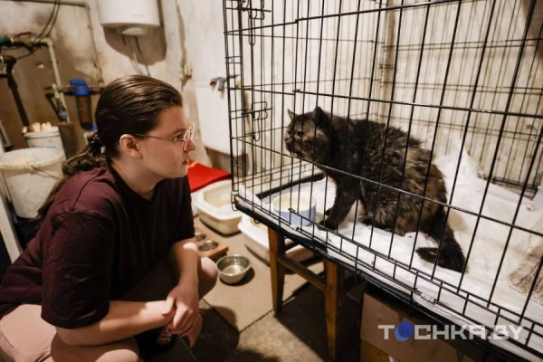 Девушка с инвалидностью спасает парализованных животных и делает им коляски