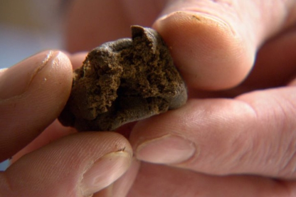 19-летнего жителя Лунинецкого района взяли под стражу за незаконный оборот гашиша 19-летнего жителя Лунинецкого района взяли под стражу за незаконный оборот гашиша