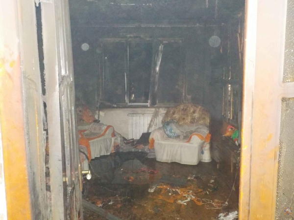 В квартире в Бобруйске погибла женщина и ее 18 котов. Что случилось? В квартире в Бобруйске погибла женщина и ее 18 котов. Что случилось?