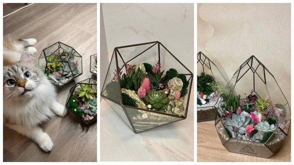 «Каждую неделю дарил жене кактусы, а потом — запустил бизнес». Посмотрите, какие флорариумы делает этот белорус