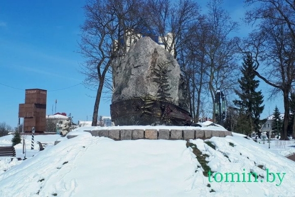 В Бресте расцвела форзиция… на снегу