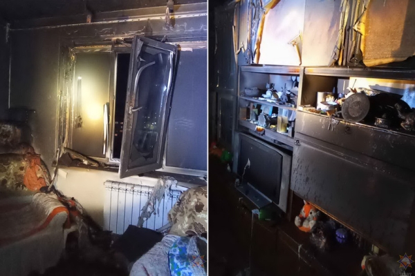 В квартире в Бобруйске погибла женщина и ее 18 котов. Что случилось? В квартире в Бобруйске погибла женщина и ее 18 котов. Что случилось?