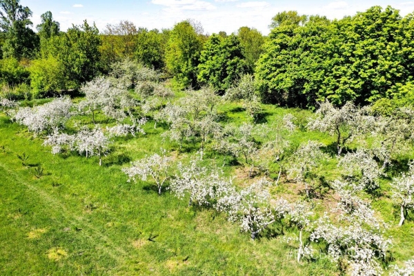 
                Бывший Форт IX, а сегодня красивая фотозона в Бресте
            