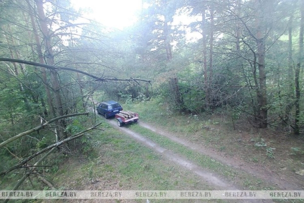 Попали в кадр: как в Ивацевичском лесхозе фотоловушки помогают бороться с нарушителями Попали в кадр: как в Ивацевичском лесхозе фотоловушки помогают бороться с нарушителями