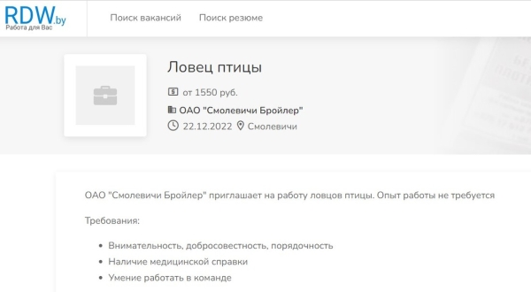 Топ необычных вакансий в Беларуси. Реальные объявления, которые вас удивят
