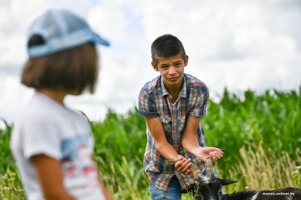 Собирает чернику, завел козу. История белоруса, который в 66 лет остался один с четырьмя детьми Собирает чернику, завел козу. История белоруса, который в 66 лет остался один с четырьмя детьми