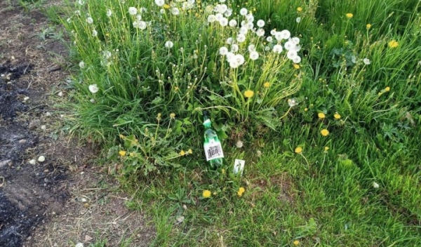 Версия о пале травы не подтвердилась. Следователи установили, что пенсионерку поджог сожитель