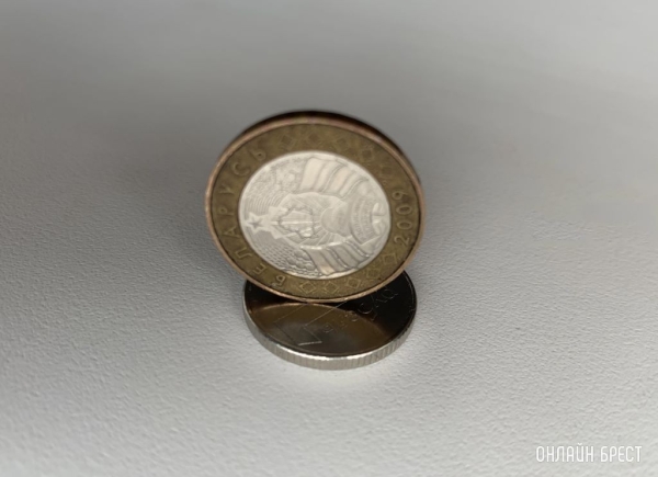 Готовится тематический аукцион, на котором все объекты в Брестской области предлагаются за 32 рубля