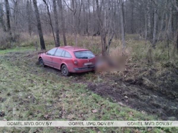 Лось стал причиной ДТП со смертельным исходом Лось стал причиной ДТП со смертельным исходом