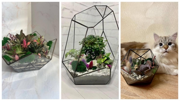 «Каждую неделю дарил жене кактусы, а потом — запустил бизнес». Посмотрите, какие флорариумы делает этот белорус