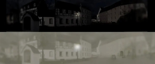 Так видят коты