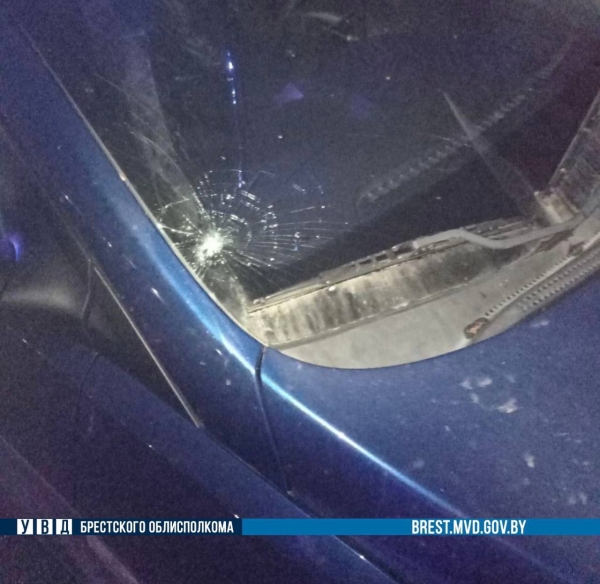 Мужчина выставлял конусы для объезда - его сбил автомобиль. Подробности ДТП в Бресте Мужчина выставлял конусы для объезда - его сбил автомобиль. Подробности ДТП в Бресте