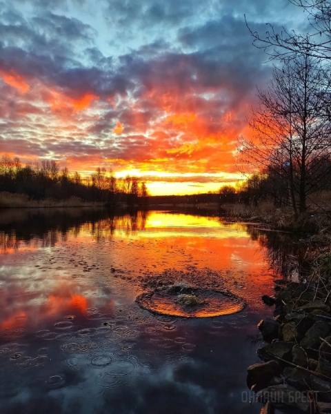 Читатель: Огненный рассвет. Фото сделаны сегодня в городе-спутнике Бреста
Читатель: Огненный рассвет. Фото сделаны сегодня в городе-спутнике Бреста