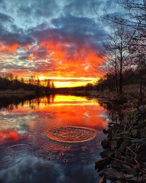 Читатель: Огненный рассвет. Фото сделаны сегодня в городе-спутнике Бреста
Читатель: Огненный рассвет. Фото сделаны сегодня в городе-спутнике Бреста