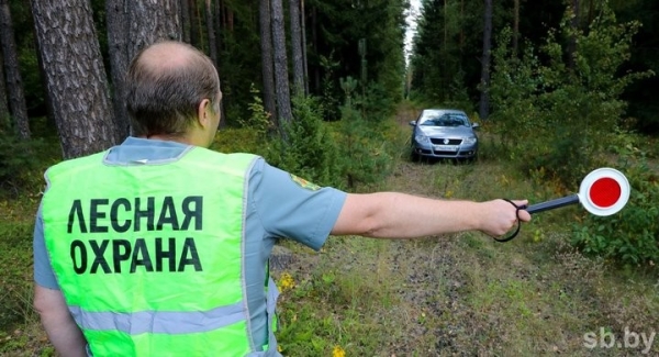 Без ограничений и запретов ходить в лес можно только в трех районах Брестской области Без ограничений и запретов ходить в лес можно только в трех районах Брестской области