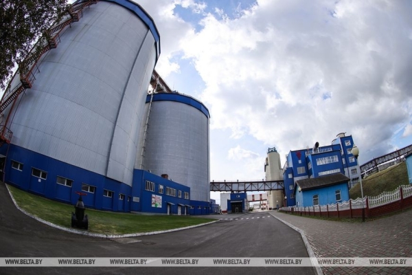 Жабинковский сахарный завод начинает переработку свеклы. Репортаж