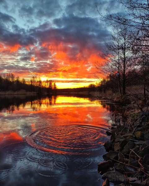 Читатель: Огненный рассвет. Фото сделаны сегодня в городе-спутнике Бреста
Читатель: Огненный рассвет. Фото сделаны сегодня в городе-спутнике Бреста