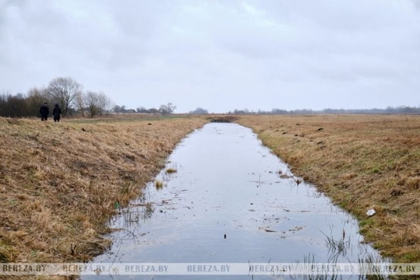 Можно ли набрать воду из родника возле аг. Селец (Брестская область) Можно ли набрать воду из родника возле аг. Селец (Брестская область)