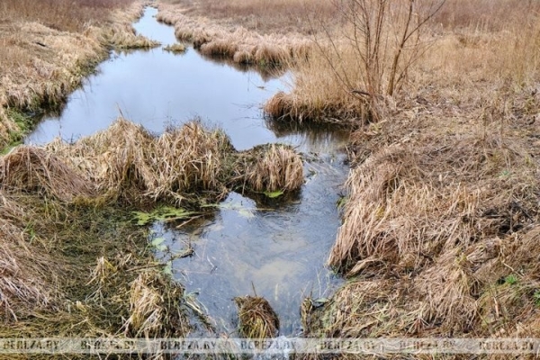 Можно ли набрать воду из родника возле аг. Селец (Брестская область) Можно ли набрать воду из родника возле аг. Селец (Брестская область)