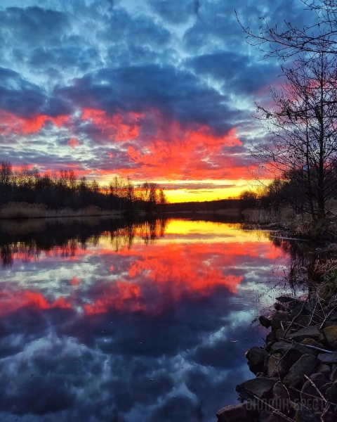 Читатель: Огненный рассвет. Фото сделаны сегодня в городе-спутнике Бреста
Читатель: Огненный рассвет. Фото сделаны сегодня в городе-спутнике Бреста